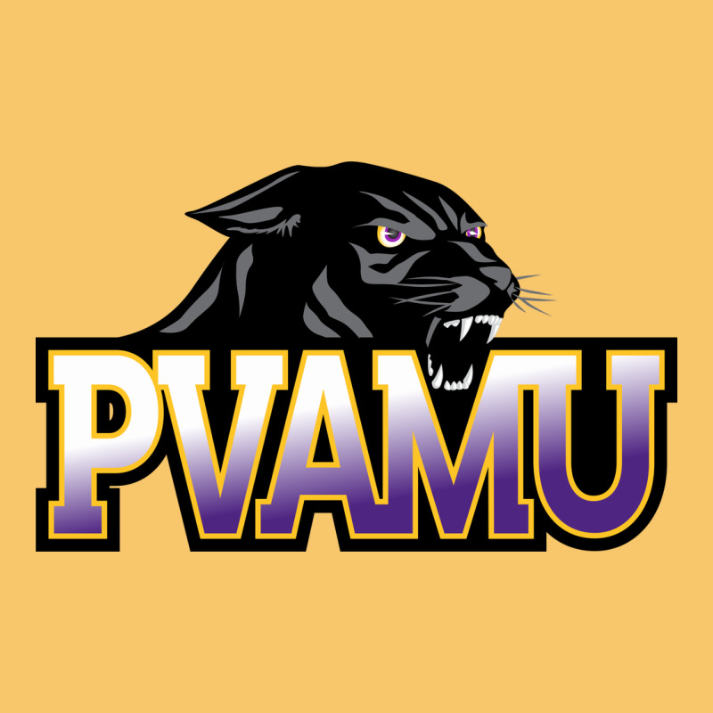 Prairie View A&m Panthers And Lady Panthers Rectangle Patch Vintage Hoodie by linhVisuals | Teevron