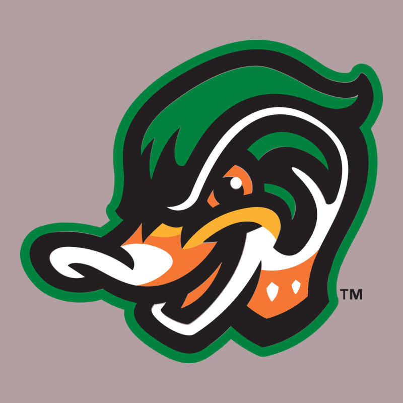 Down East Wood Ducks Vintage Hoodie by linhVisuals | Teevron