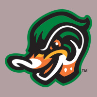 Down East Wood Ducks Vintage Hoodie | Teevron