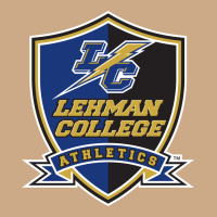 Lehman College Lightning Vintage Hoodie | Teevron