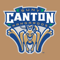 Suny Canton Vintage Hoodie | Teevron