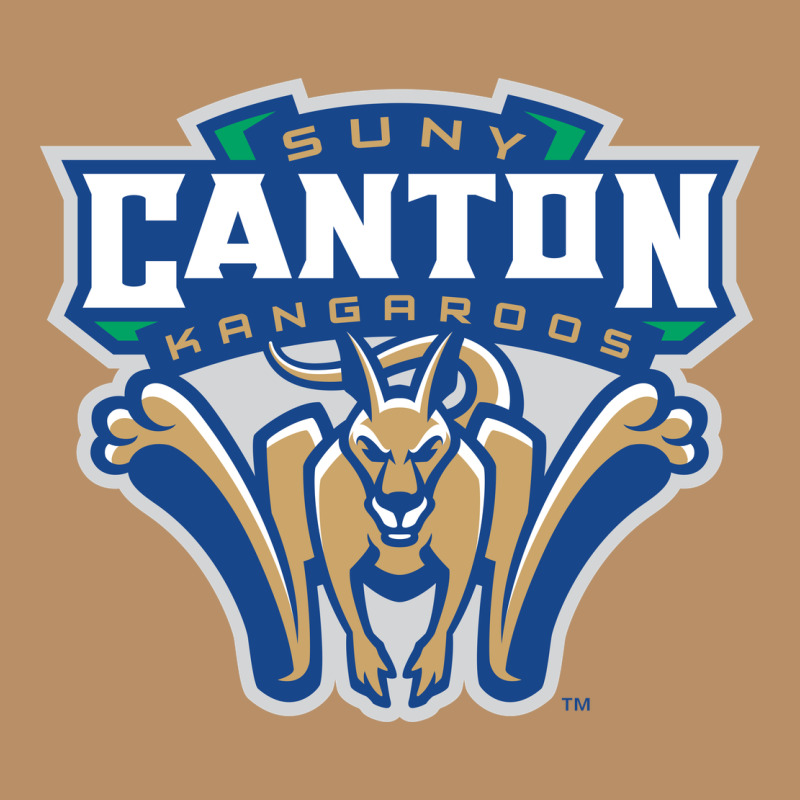 Suny Canton Vintage Hoodie by linhVisuals | Teevron