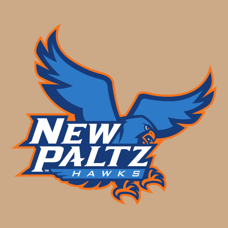 Suny New Paltz Vintage Hoodie by linhVisuals | Teevron