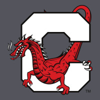 Suny Cortland Red Dragons Vintage Hoodie | Teevron