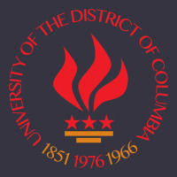 University Of The District Of Columbia Vintage Hoodie | Teevron