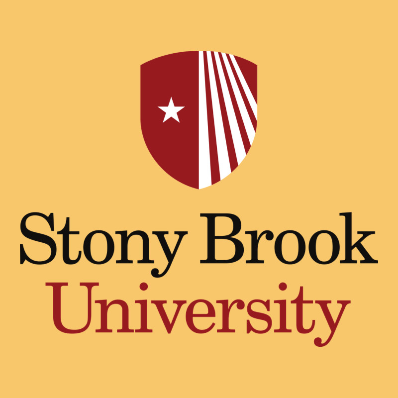 Stony Brook University Vintage Hoodie by linhVisuals | Teevron