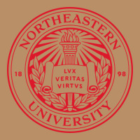 Northeastern University Vintage Hoodie | Teevron