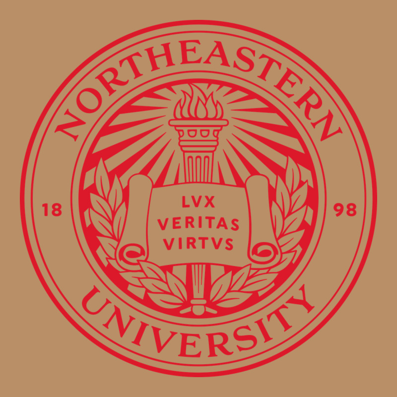 Northeastern University Vintage Hoodie by linhVisuals | Teevron