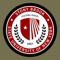 Stony Brook University Vintage Hoodie | Teevron