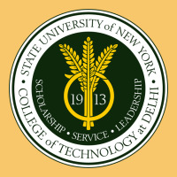 Suny Delhi Vintage Hoodie | Teevron