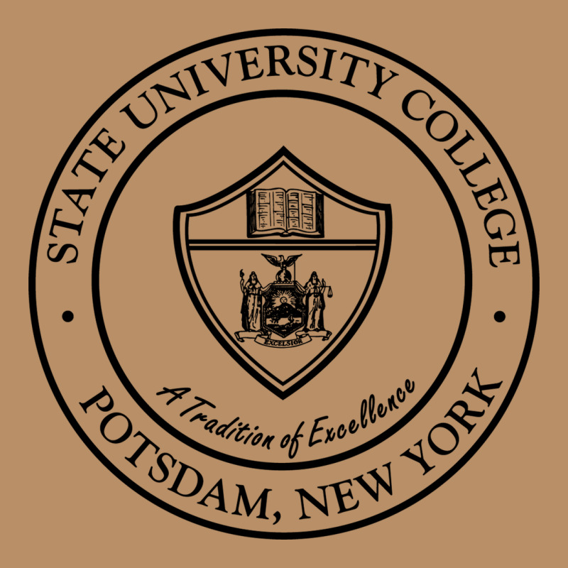 Suny Potsdam Vintage Hoodie by linhVisuals | Teevron