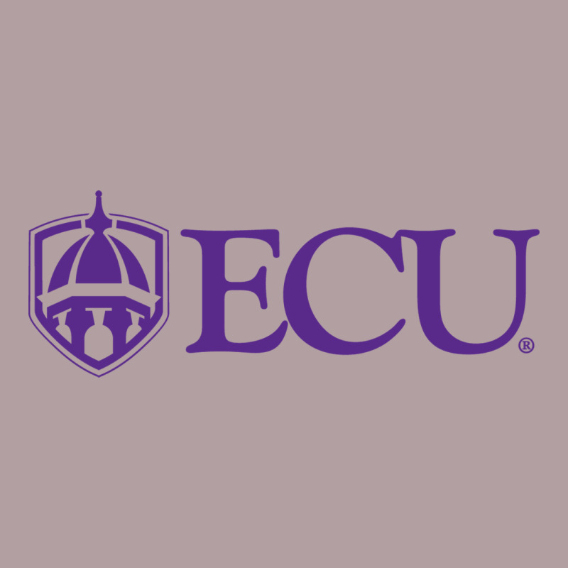 East Carolina University Vintage Hoodie by linhVisuals | Teevron
