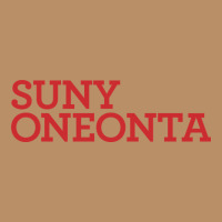 Suny Oneonta Wordmark Vintage Hoodie | Teevron