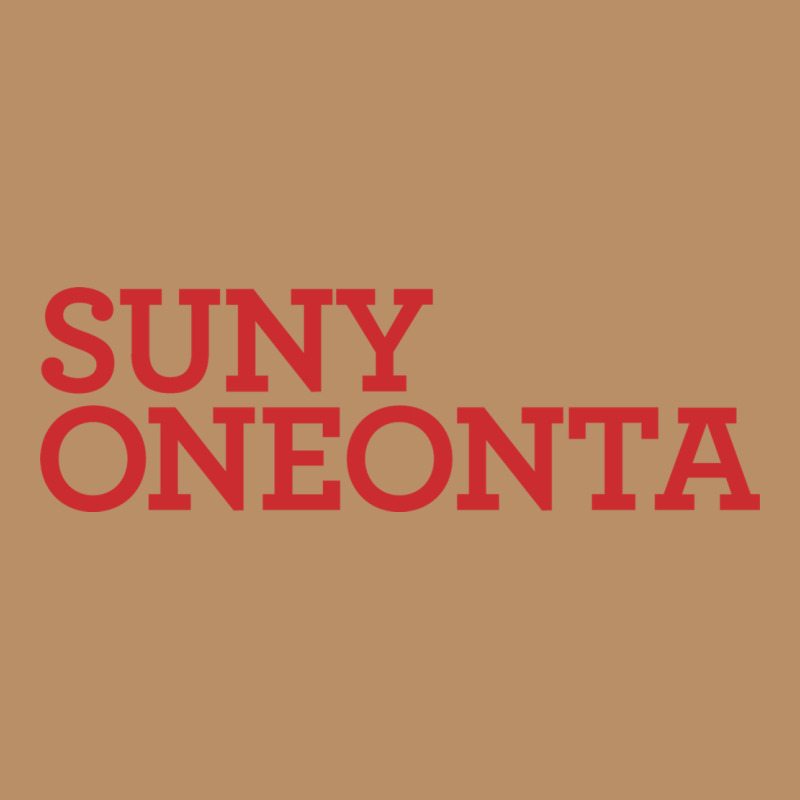 Suny Oneonta Wordmark Vintage Hoodie by linhVisuals | Teevron