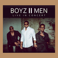 #boyz 2 Men Tour 2022 Vintage Hoodie | Teevron