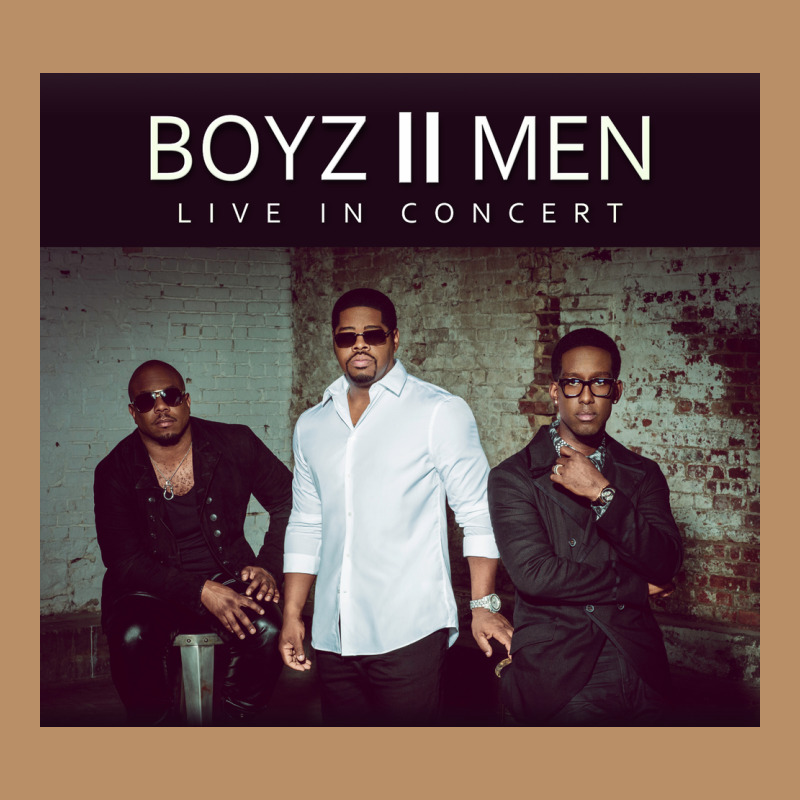 #boyz 2 Men Tour 2022 Vintage Hoodie by linhVisuals | Teevron