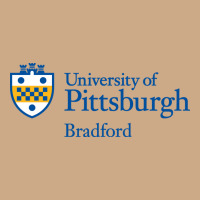 University Of Pittsburgh At Bradford New Vintage Hoodie | Teevron