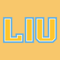 Liu Gold Wordmark Vintage Hoodie | Teevron