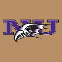 Niagara Purple Eagles Vintage Hoodie | Teevron