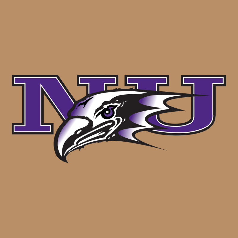 Niagara Purple Eagles Vintage Hoodie by linhVisuals | Teevron