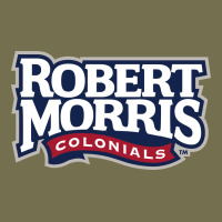 Robert Morris Colonials Wordmark Vintage Hoodie | Teevron