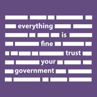 Everything Is Fine Trust Your Government Vintage Hoodie | Teevron