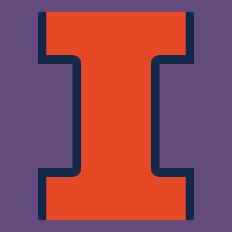 Illinois Fighting Illini, Merch Vintage Hoodie by linhVisuals | Teevron