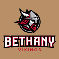 Bethany Lutheran College Vikings Vintage Hoodie | Teevron