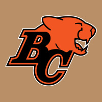 Bc Lions Vintage Hoodie | Teevron
