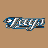 The Jays Baseball Vintage Hoodie | Teevron