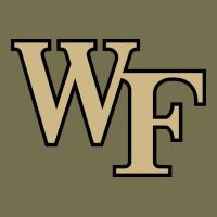 The Wake Forest Demon Deacons Vintage Hoodie | Teevron