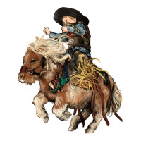 Midilli little Cowboy kid rodeo | Teevron
