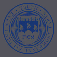 Brandeis University Vintage Hoodie | Teevron