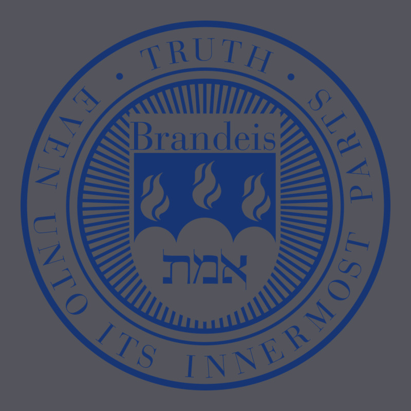Brandeis University Vintage Hoodie by linhVisuals | Teevron