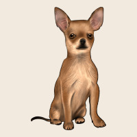 Chihuahua Zipper Hoodie | Teevron