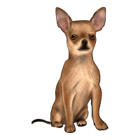 chihuahua | Teevron