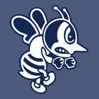 Ambrose University Fighting Bees Vintage Hoodie | Teevron