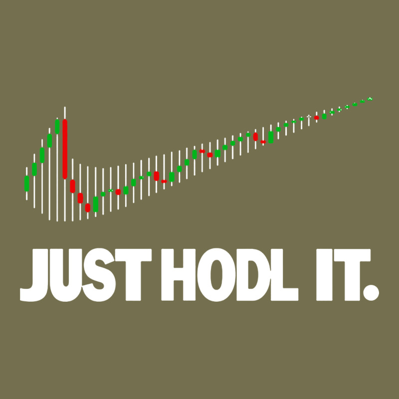 Just Hodl It Vintage Hoodie by linhVisuals | Teevron