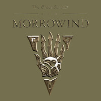 Morrowind Vintage Hoodie | Teevron