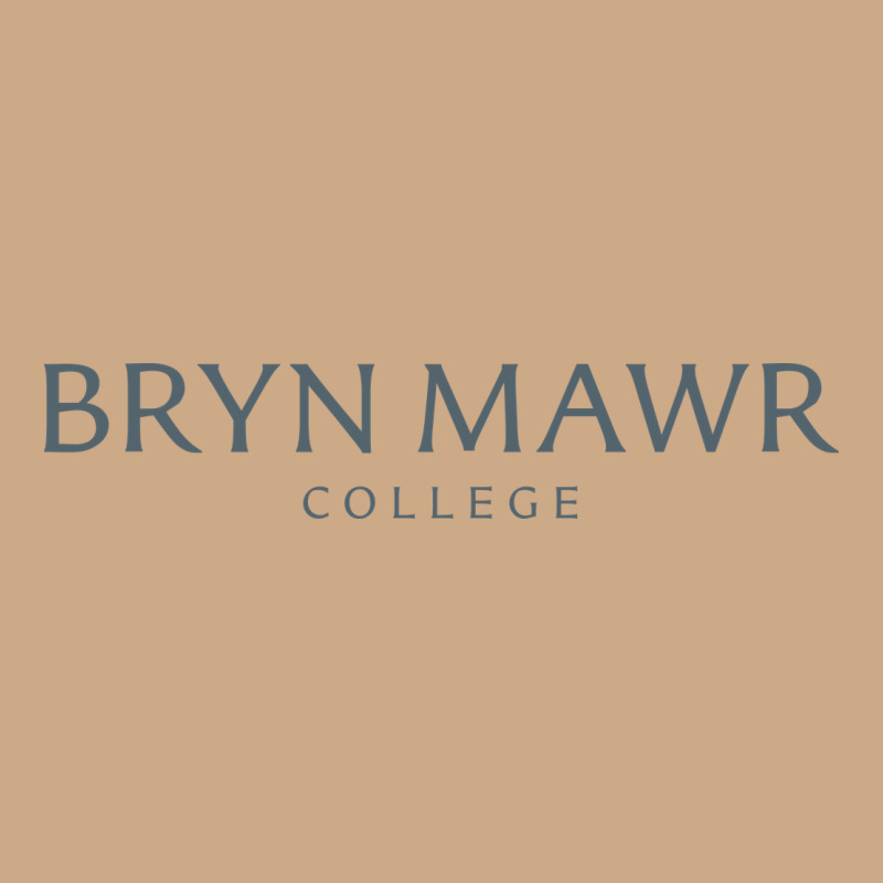 Bryn Mawr College Vintage Hoodie by linhVisuals | Teevron