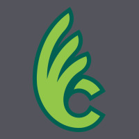 Wilmington College Quaqers Vintage Hoodie | Teevron