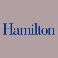 Hamilto College Vintage Hoodie | Teevron