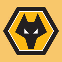 The-wolverhampton-wanderers-pen Vintage Hoodie | Teevron