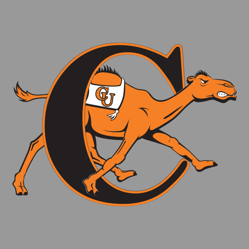 The Campbell Fighting Camels Vintage Hoodie by linhVisuals | Teevron