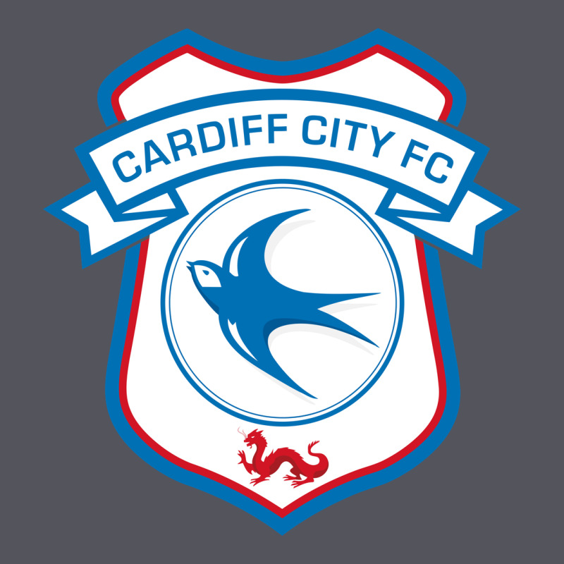 Cardiff-city-fc Vintage Hoodie by linhVisuals | Teevron