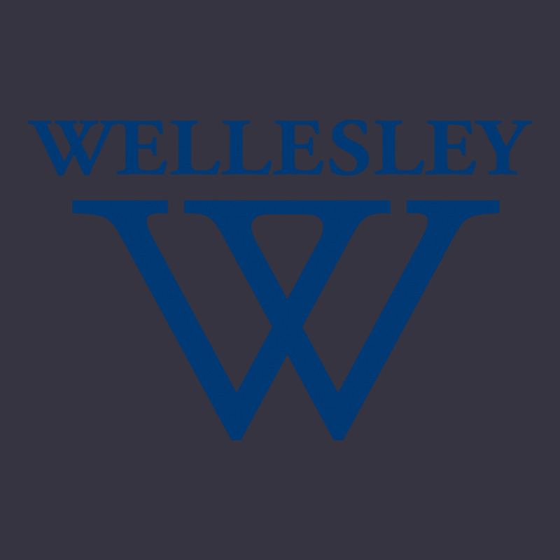 Wellesley College Vintage Hoodie by linhVisuals | Teevron
