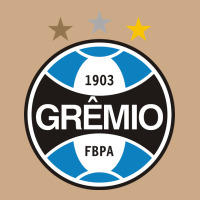 The-grêmio-pen Vintage Hoodie | Teevron