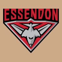 Essendon Fc Vintage Hoodie | Teevron
