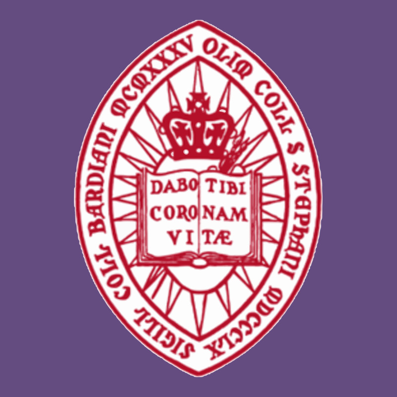 Bard College Vintage Hoodie by linhVisuals | Teevron
