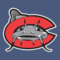 Carolina Mudcats Vintage Hoodie | Teevron